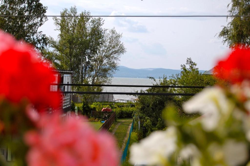 Silver Beach Resort Zamardi Room photo